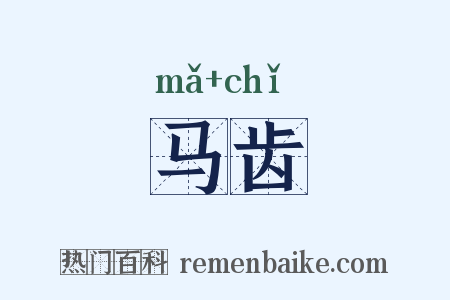 马齿是什么意思的图片